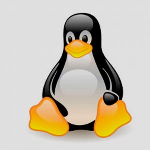Linux System Administrator